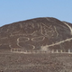 Descubren el geoglifo de un gato en la Pampa de Nazca